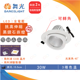  (A Light)附發票 舞光 LED 挑高伸縮黑鑽石